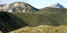 Zona de arbustos en Sierra de Guara, Huesca