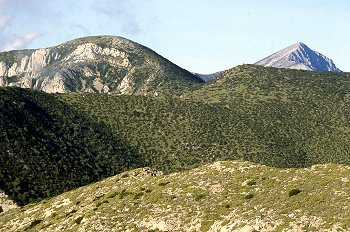 Zona de arbustos en Sierra de Guara, Huesca