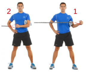 Tipos de contracciones 1