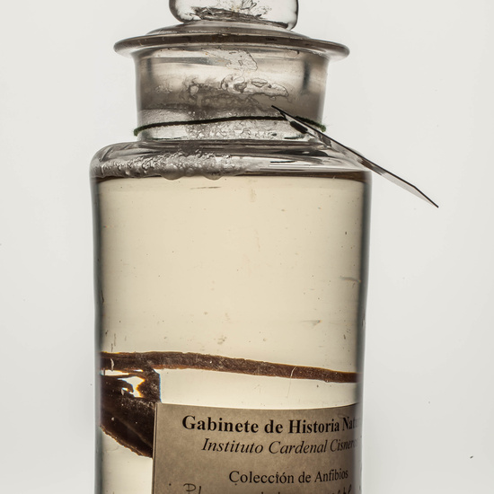 IES_CARDENALCISNEROS_CIENCIASNATURALES_200