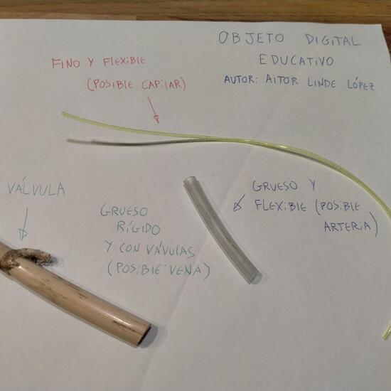 Materiales tubulares que simulan vasos sanguíneos