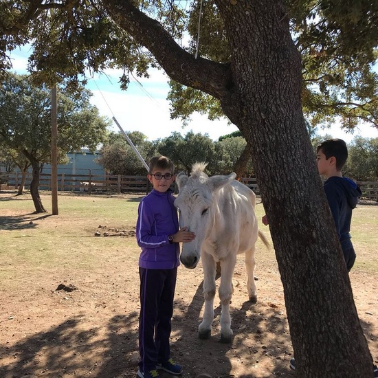 Mohernando 2017_3 11