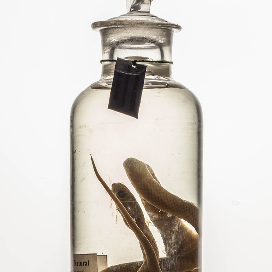 IES_CARDENALCISNEROS_CIENCIASNATURALES_273