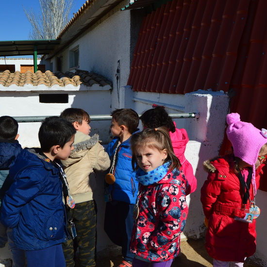 GRANJA ESCUELA ALBITANA 2018 29