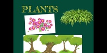 PRIMARIA - 1º - PLANTS - NATURAL SCIENCE - FORMACIÓN