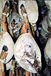 Jamón enmohecido