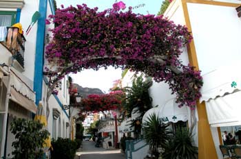 Calle de Puerto Mogán