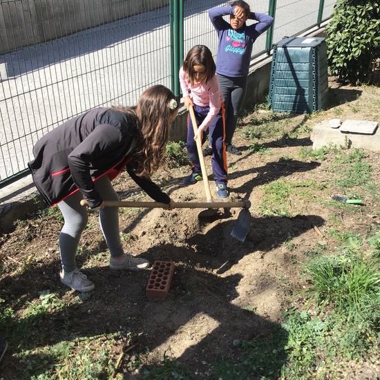 El año hortelano de 4º B 49