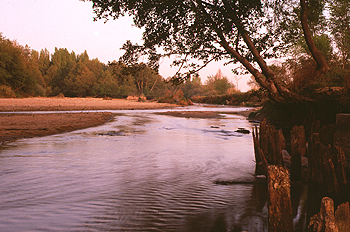 Curso del río Alberche