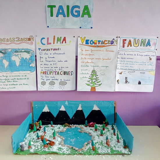 ECOSISTEMAS 5º CURSO 5