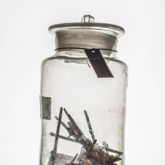 IES_CARDENALCISNEROS_CIENCIASNATURALES_025