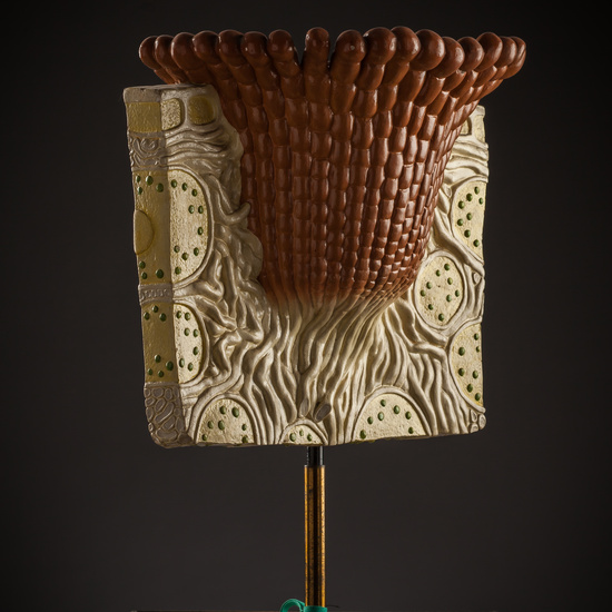 IES_SANISIDRO_BIOLOGIA_241