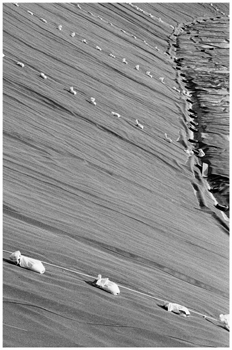 Fotografia artística de la construcción de un embalse utilizando