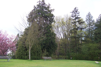 Parque Stanley, Vancouver