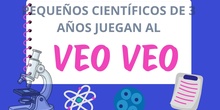 VEO VEO