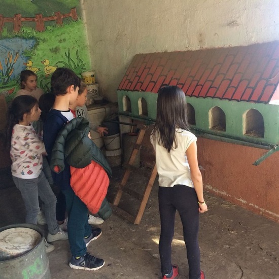 Mohernando 2017_4 12