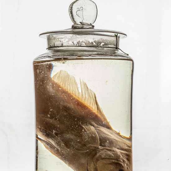 IES_CARDENALCISNEROS_CIENCIASNATURALES_333