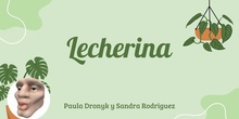 Lecherina