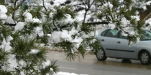 Calles nevadas, Comunidad de Madrid