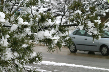 Calles nevadas, Comunidad de Madrid