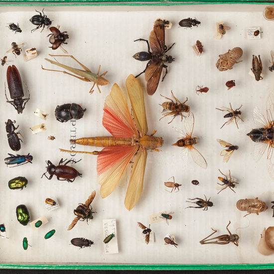 IES_SANISIDRO_MUSEO_022