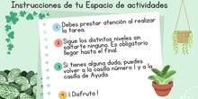 Instrucciones T5 canva