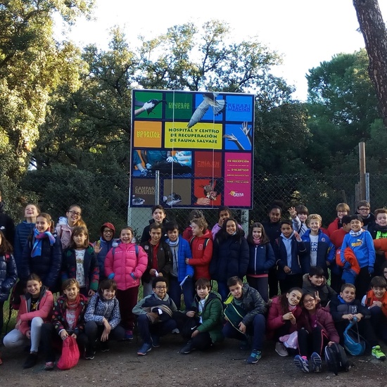 VISITA A GREFA. 5º CURSO 26