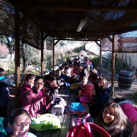 VISITA A GREFA. 5º CURSO 2