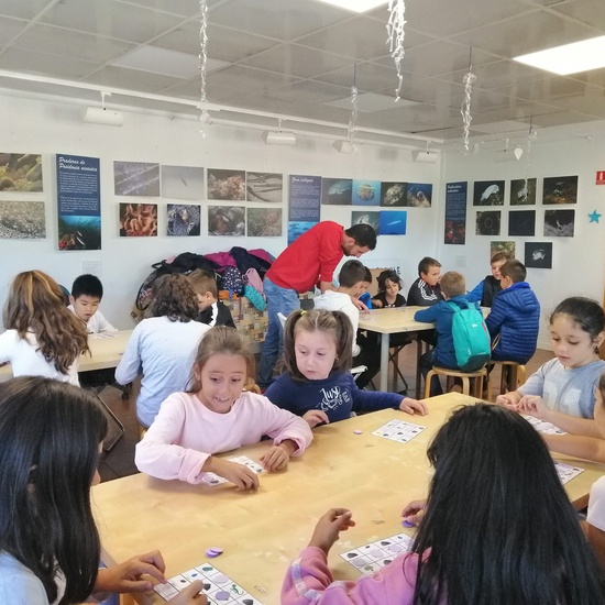 Salida Bosque Sur.3º de Primaria. Octubre 2019 2