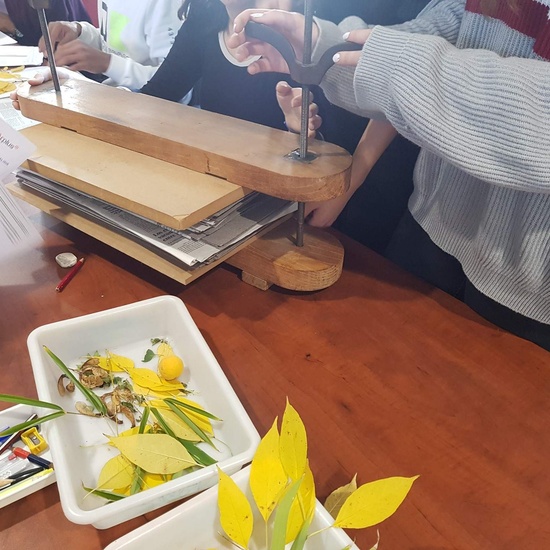 Instituto Nacional de Investigación y Tecnología Agraria 2019 (4ºESO) 9