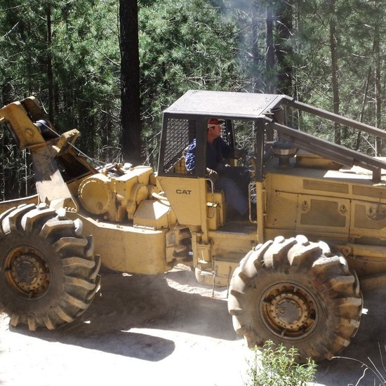 El castañar. El tiemblo 6