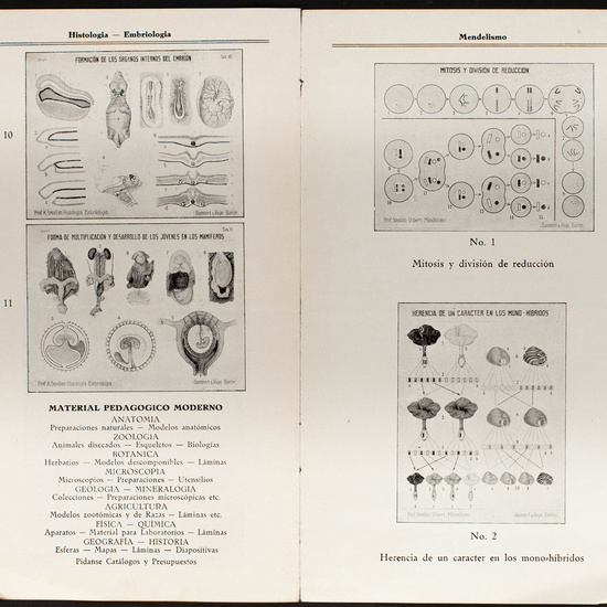 IES_CARDENALCISNEROS_CATALOGOS_024