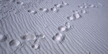 Huellas en una duna, Burgomillodo, Segovia, Castilla y León