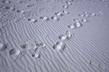Huellas en una duna, Burgomillodo, Segovia, Castilla y León