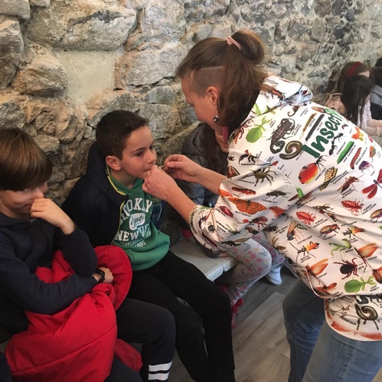 2020_02_27_3º visita Insectpark (2)_CEIP FDLR_Las Rozas 3