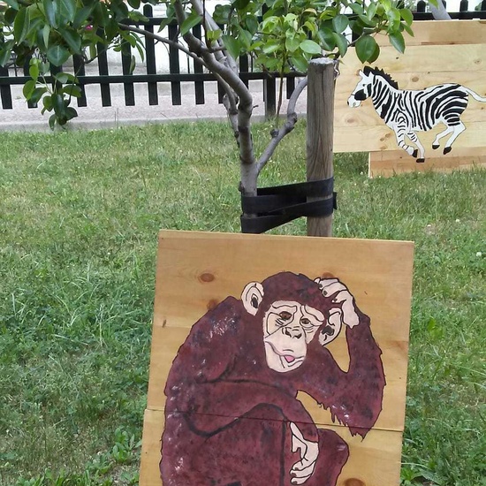 Semana Cultural 2018 12