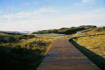 Dunas de la playa de El Espartal, Castrillón, Principado de Astu