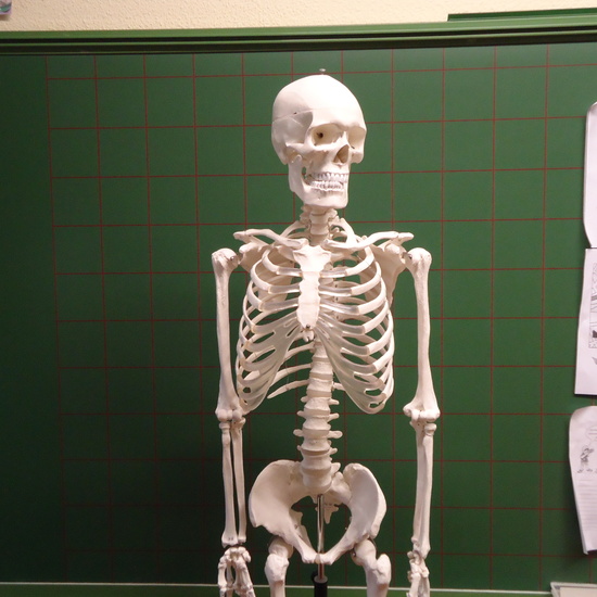 NUEVO MATERIAL DE LABORATORIO 2