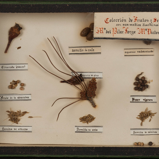 IES_LOPEDEVEGA_TECNOLOGIA_093