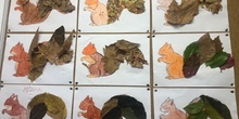 Autumn in Colmenar Viejo. 3th Grade, Arts. 2