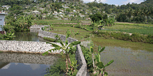 Acequias y arrozales, Jogyakarta, Indonesia