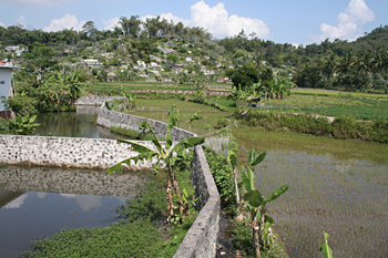 Acequias y arrozales, Jogyakarta, Indonesia