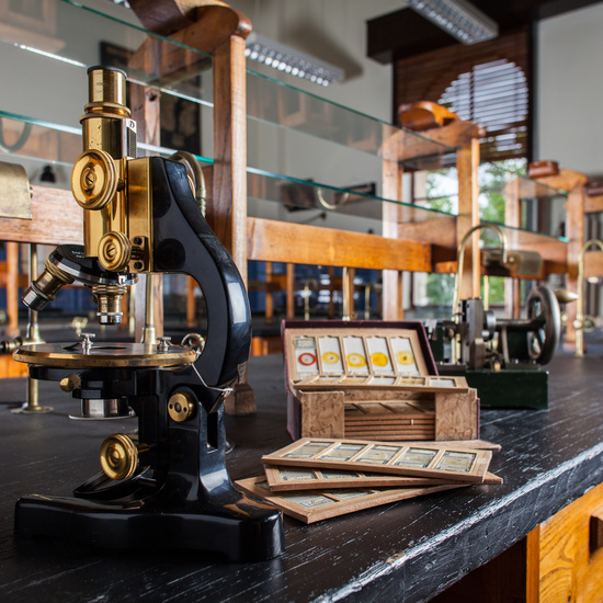 IES_ISABELLACATOLICA_BIOLOGIA_198