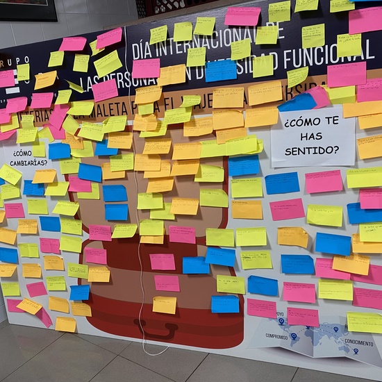 e Diciembre: Día de las personas con discapacidad funcional 5