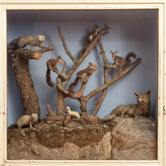 IES_RAMIRODEMAEZTU_BIOLOGIA_053