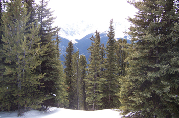 Monte Sulphur, Parque Nacional Banff