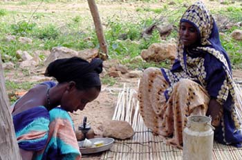 Mujeres cocinando, Rep. de Djibouti, áfrica