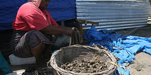 Limpiando ostras, Campamento de pescado, Alunaga, Sumatra, Indon