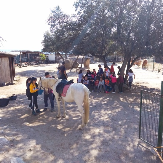 NOCHE MÁGICA 2019 (2ª parte) 28