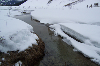 Lago Louise helado, Parque Nacional Banff